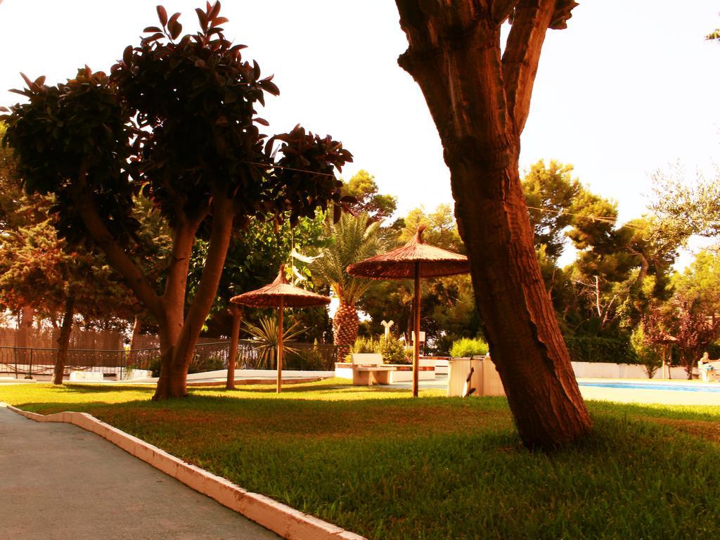 Coveta Beach Apartament El Campello Eksteriør bilde