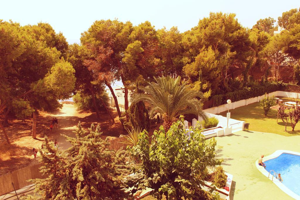 Coveta Beach Apartament El Campello Eksteriør bilde