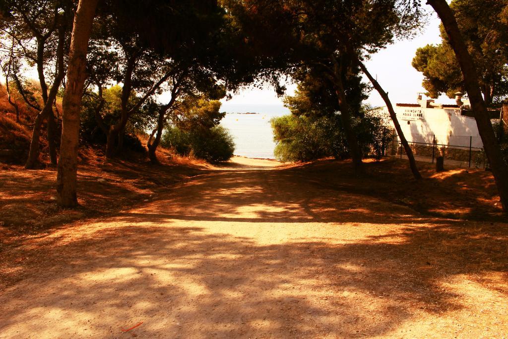 Coveta Beach Apartament El Campello Eksteriør bilde